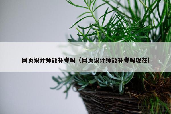 网页设计师能补考吗（网页设计师能补考吗现在）-第1张图片-冷动云