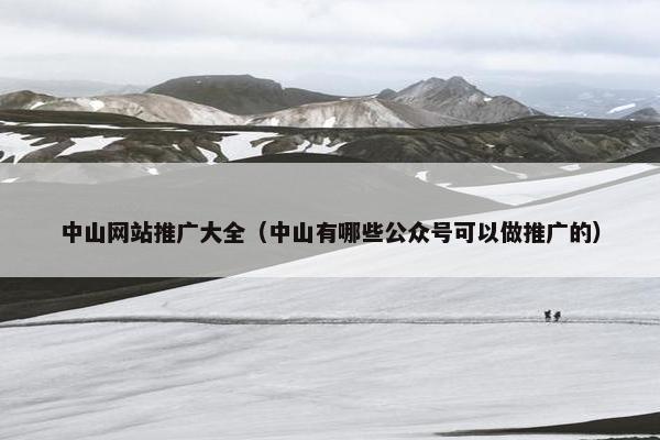 中山网站推广大全（中山有哪些公众号可以做推广的）-第1张图片-冷动云