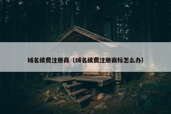 域名续费注册商（域名续费注册商标怎么办）-第1张图片-冷动云