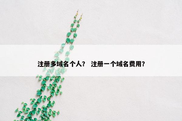 注册多域名个人？ 注册一个域名费用？-第1张图片-冷动云