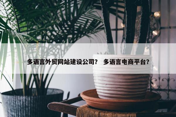 多语言外贸网站建设公司？ 多语言电商平台？-第1张图片-冷动云