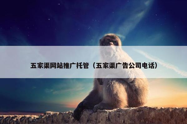 五家渠网站推广托管（五家渠广告公司电话）-第1张图片-冷动云