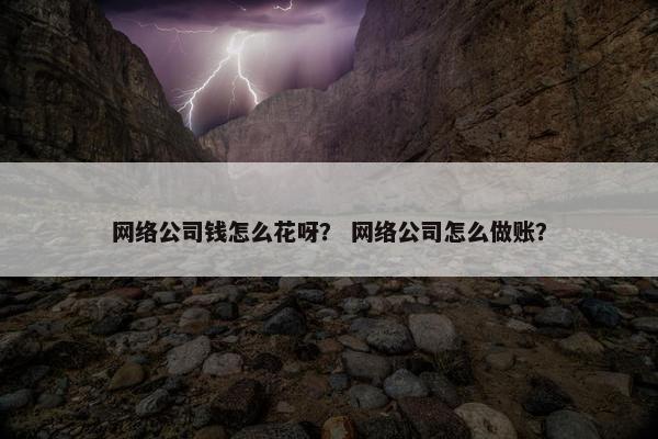 网络公司钱怎么花呀？ 网络公司怎么做账？-第1张图片-冷动云