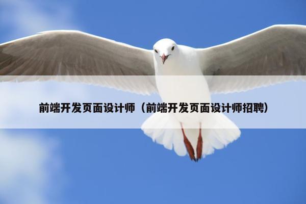 前端开发页面设计师（前端开发页面设计师招聘）-第1张图片-冷动云