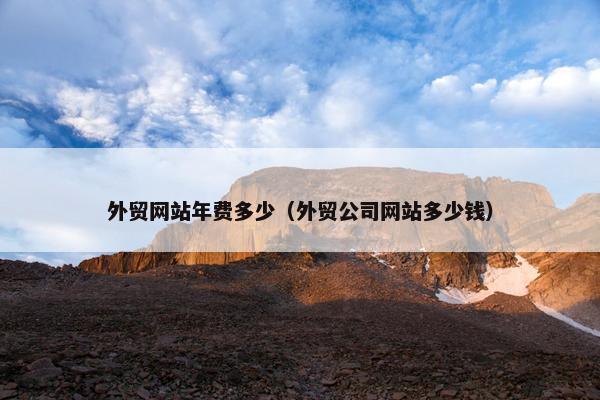 外贸网站年费多少（外贸公司网站多少钱）-第1张图片-冷动云