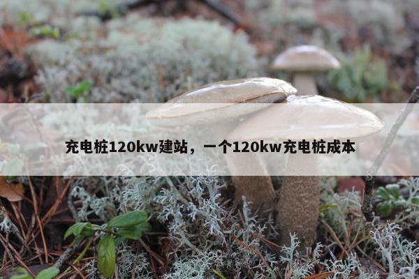 充电桩120kw建站，一个120kw充电桩成本-第1张图片-冷动云